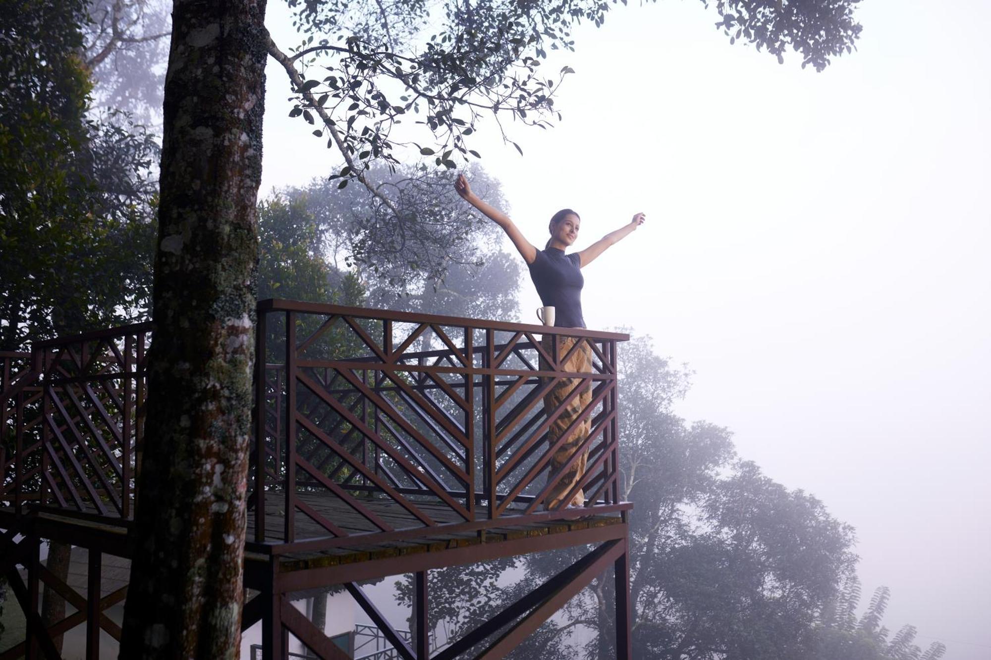 Forest Canopy טקאדי מראה חיצוני תמונה